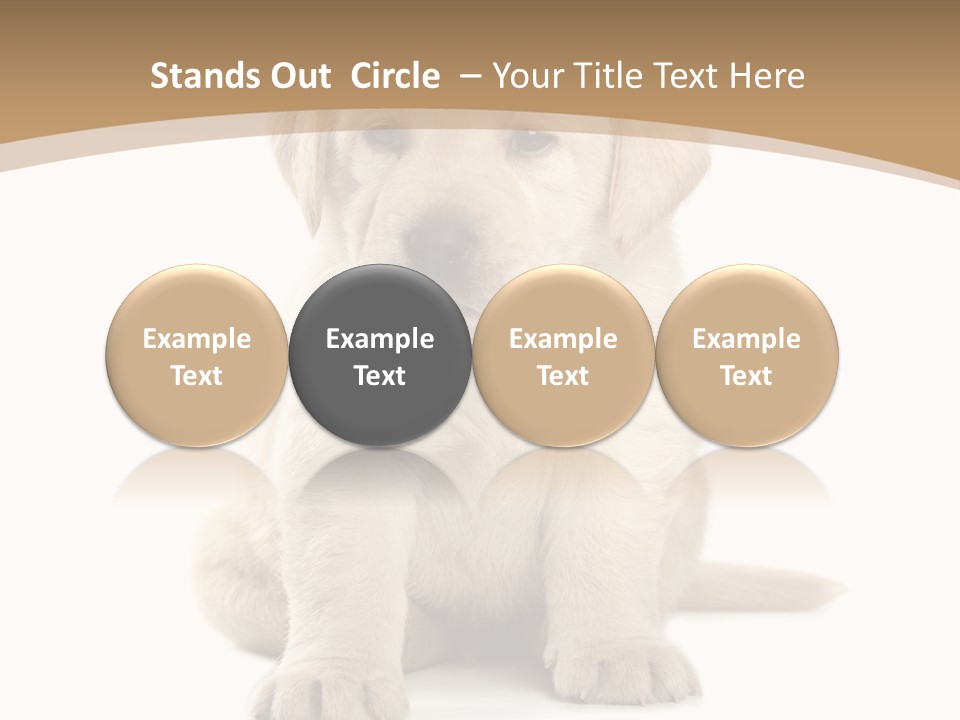 Supply Unit Temperature PowerPoint Template