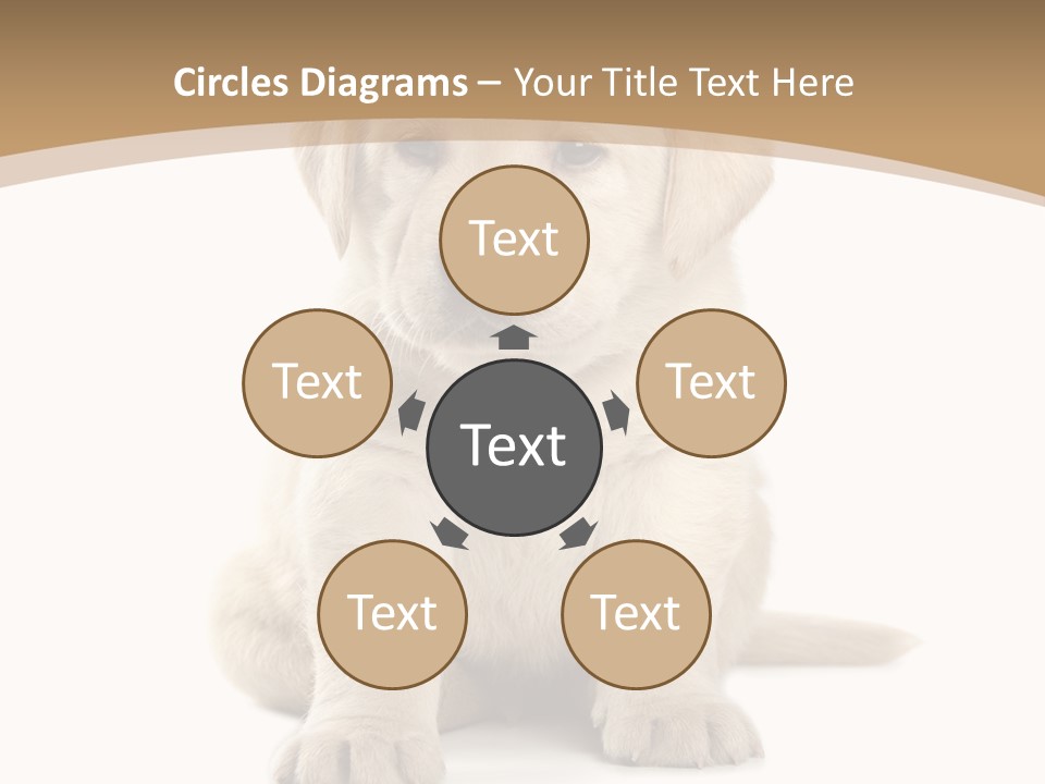 Supply Unit Temperature PowerPoint Template
