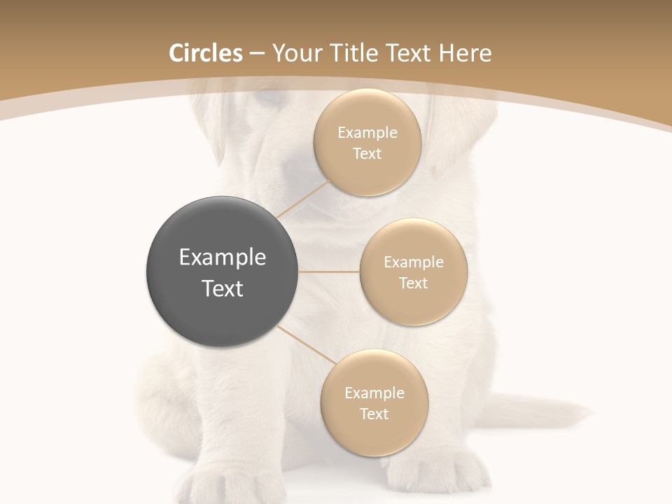 Supply Unit Temperature PowerPoint Template