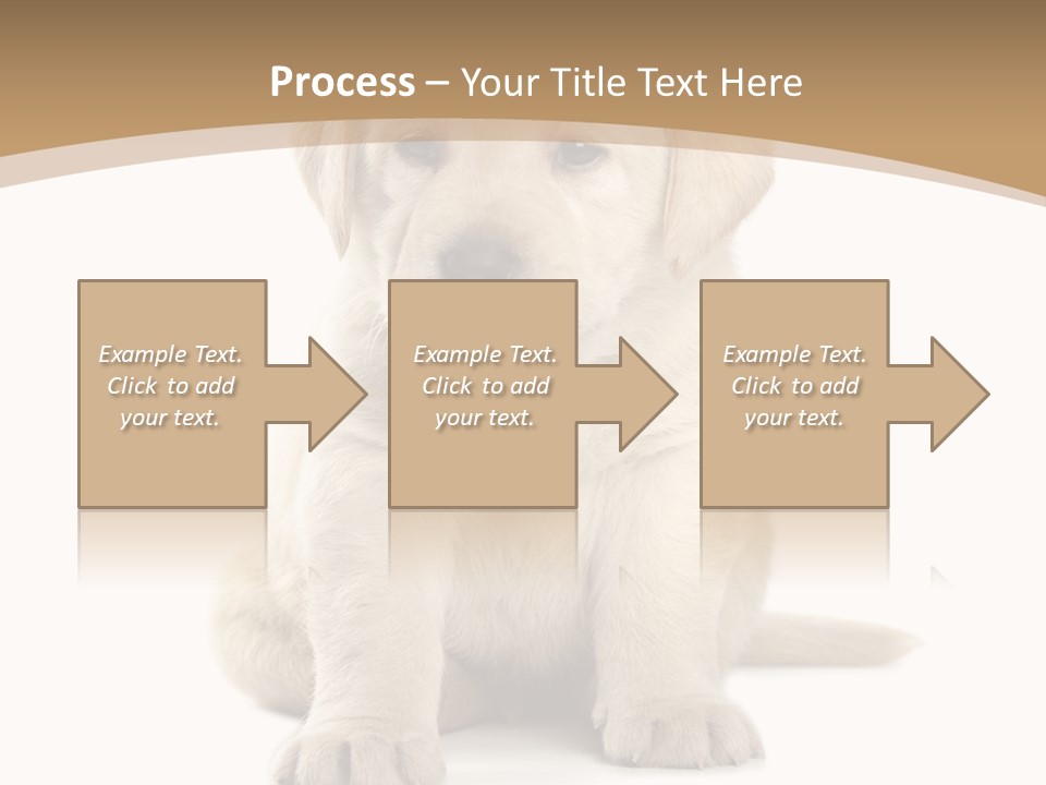 Supply Unit Temperature PowerPoint Template