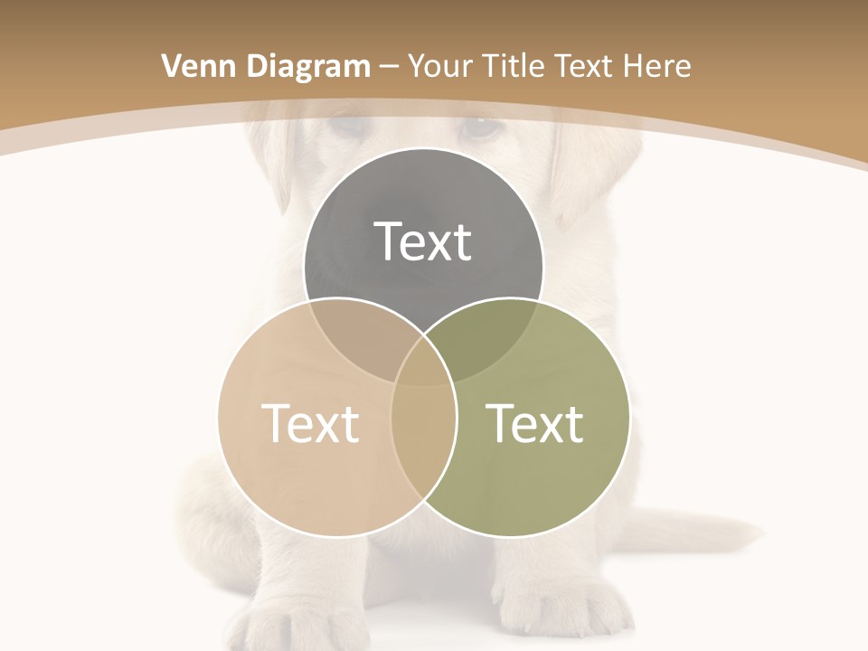 Supply Unit Temperature PowerPoint Template
