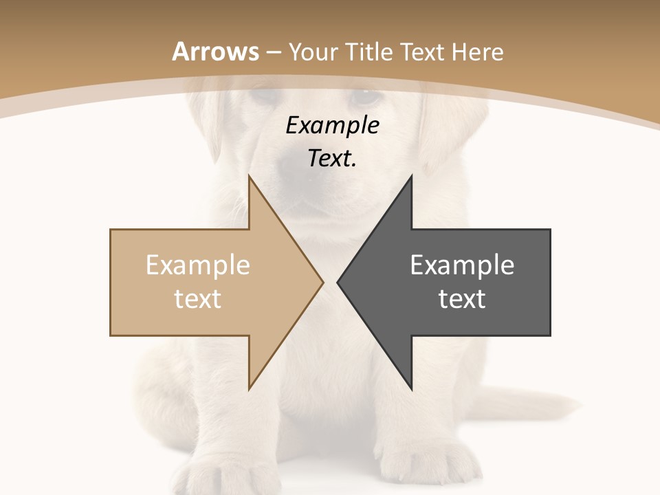 Supply Unit Temperature PowerPoint Template