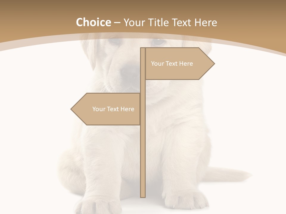 Supply Unit Temperature PowerPoint Template