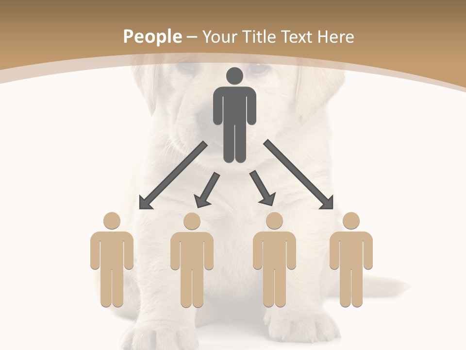 Supply Unit Temperature PowerPoint Template