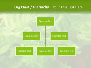 Remote Electric Part PowerPoint Template