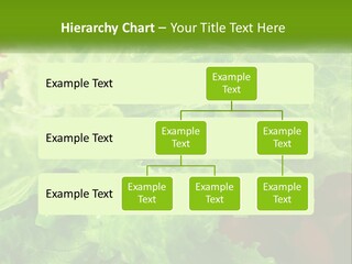 Remote Electric Part PowerPoint Template
