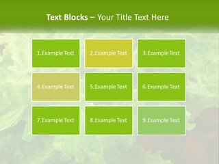 Remote Electric Part PowerPoint Template