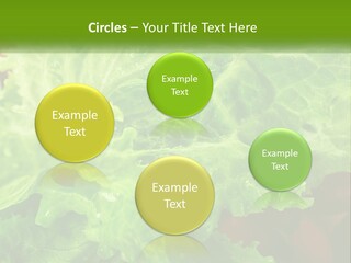 Remote Electric Part PowerPoint Template