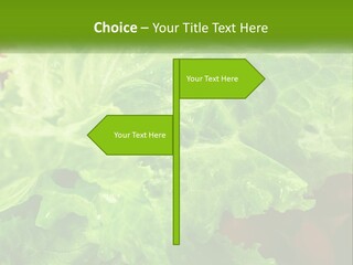 Remote Electric Part PowerPoint Template
