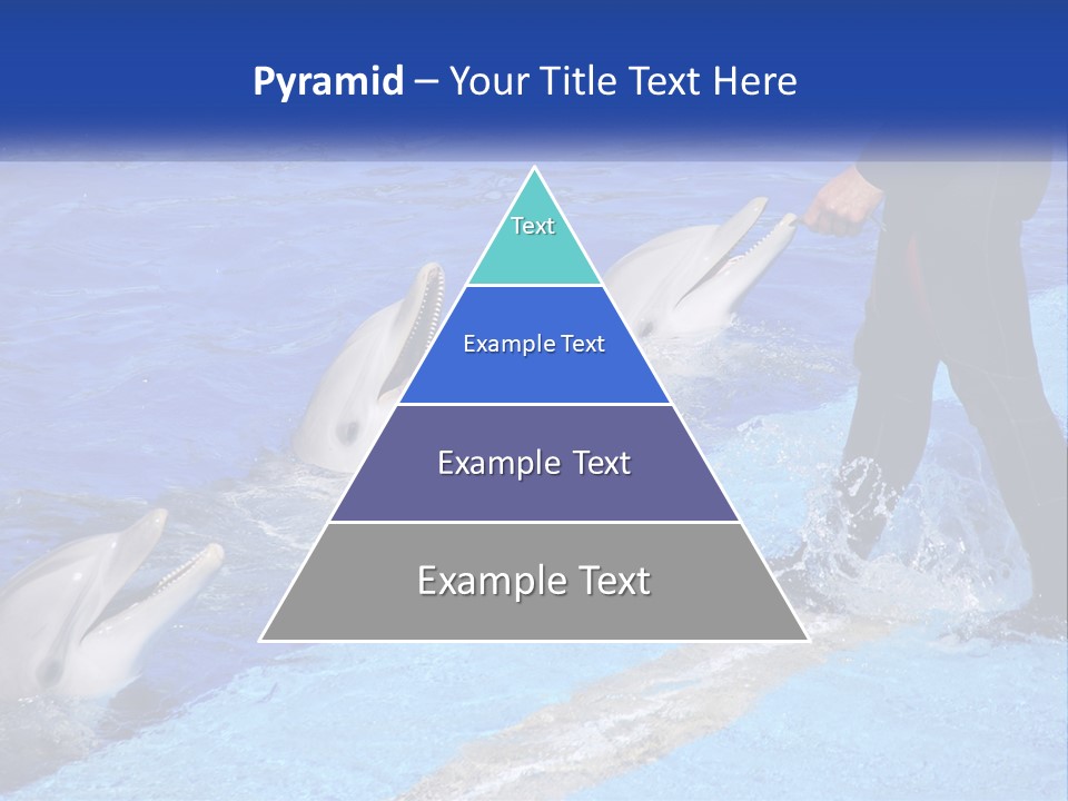 Technology Unit Condition PowerPoint Template