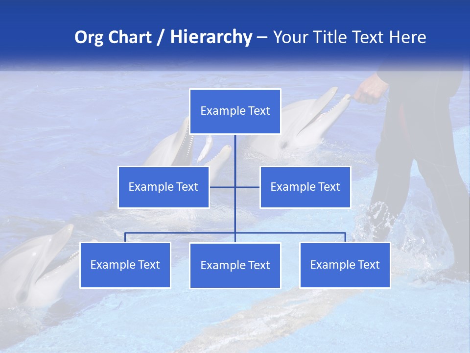 Technology Unit Condition PowerPoint Template