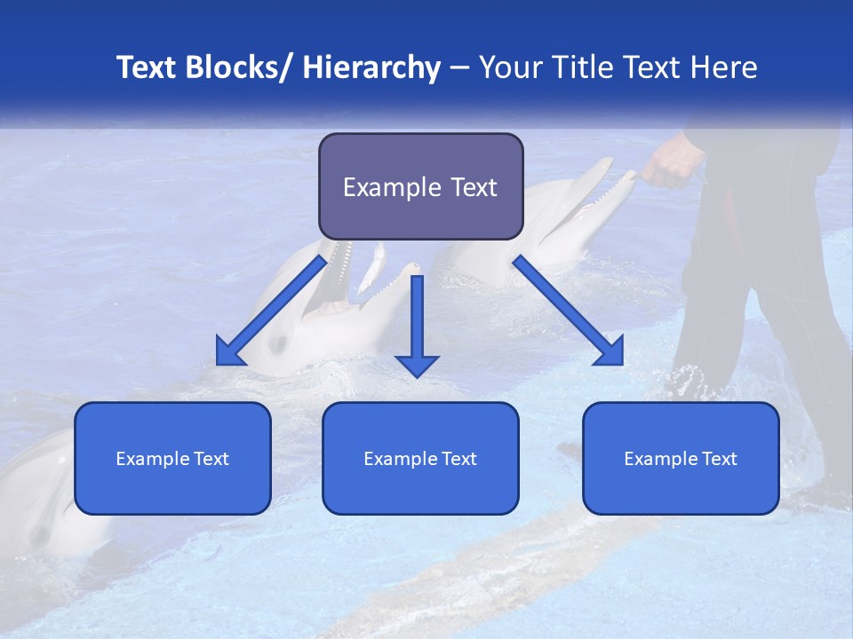 Technology Unit Condition PowerPoint Template