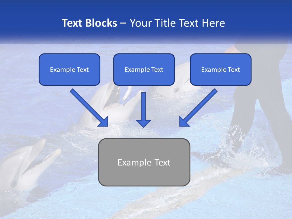 Technology Unit Condition PowerPoint Template