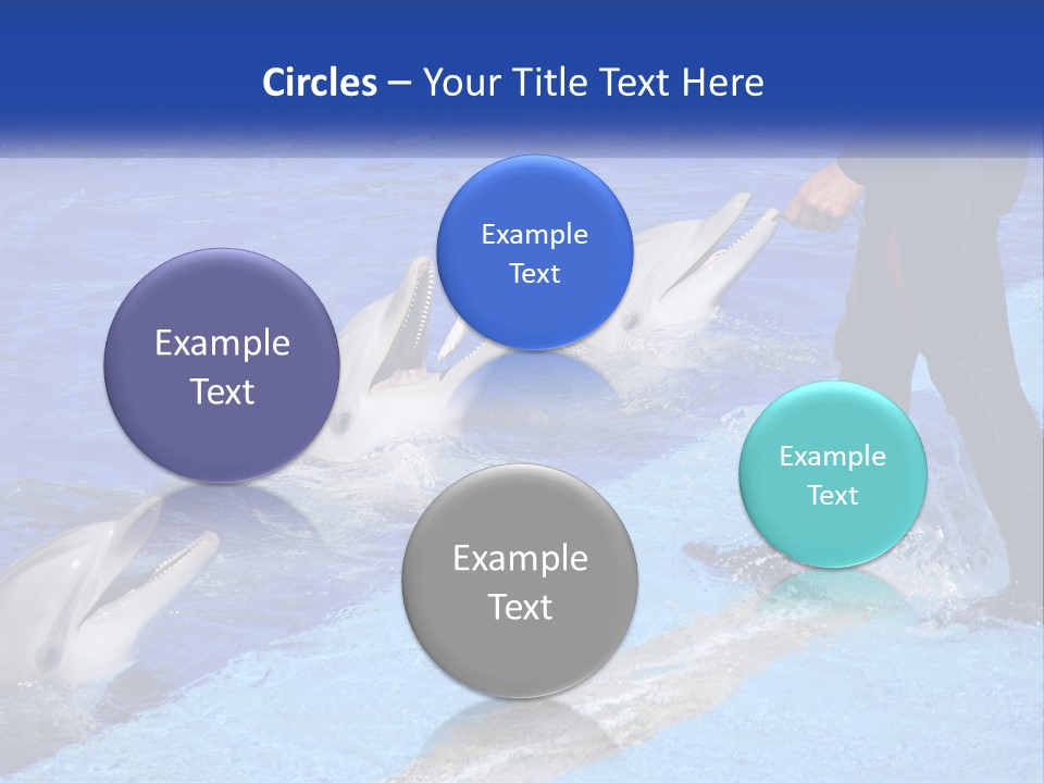 Technology Unit Condition PowerPoint Template