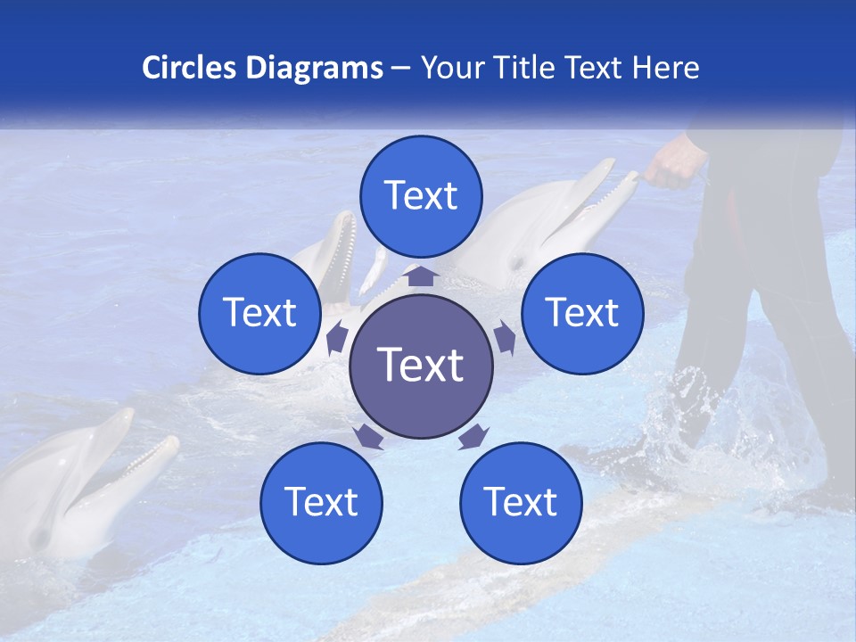 Technology Unit Condition PowerPoint Template