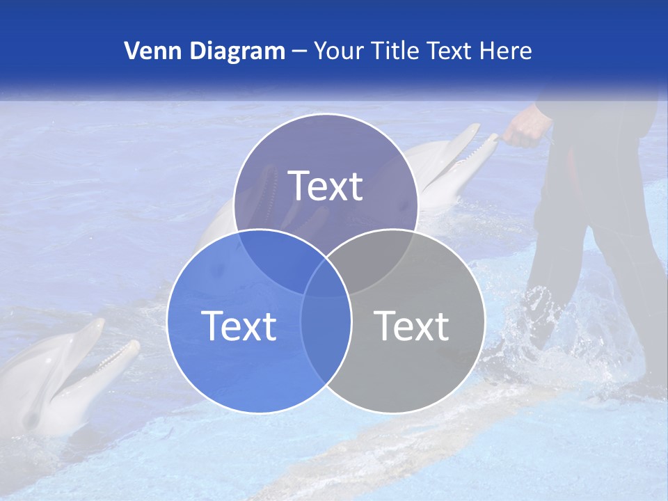 Technology Unit Condition PowerPoint Template