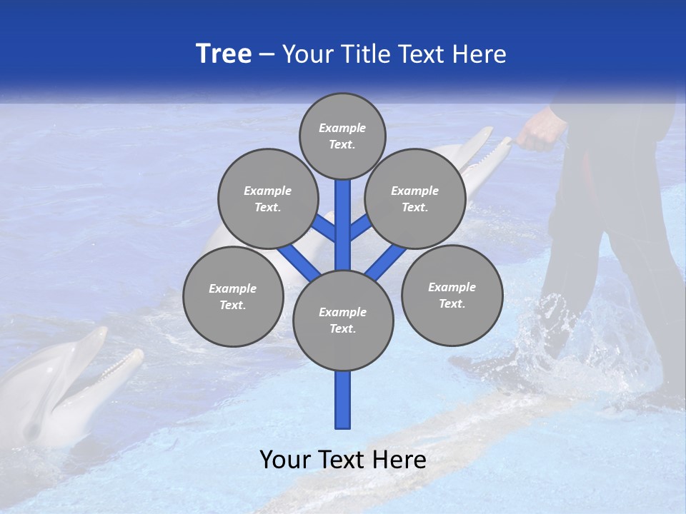 Technology Unit Condition PowerPoint Template