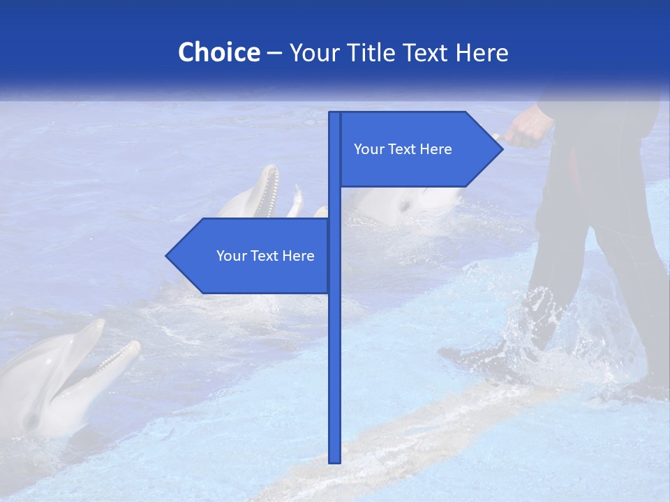 Technology Unit Condition PowerPoint Template