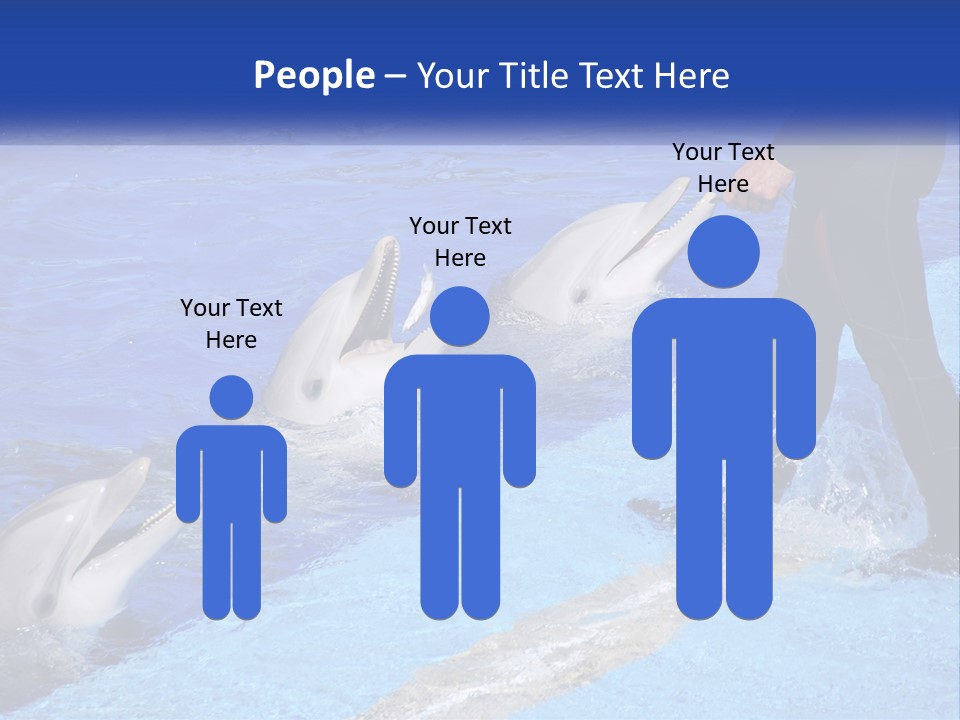 Technology Unit Condition PowerPoint Template