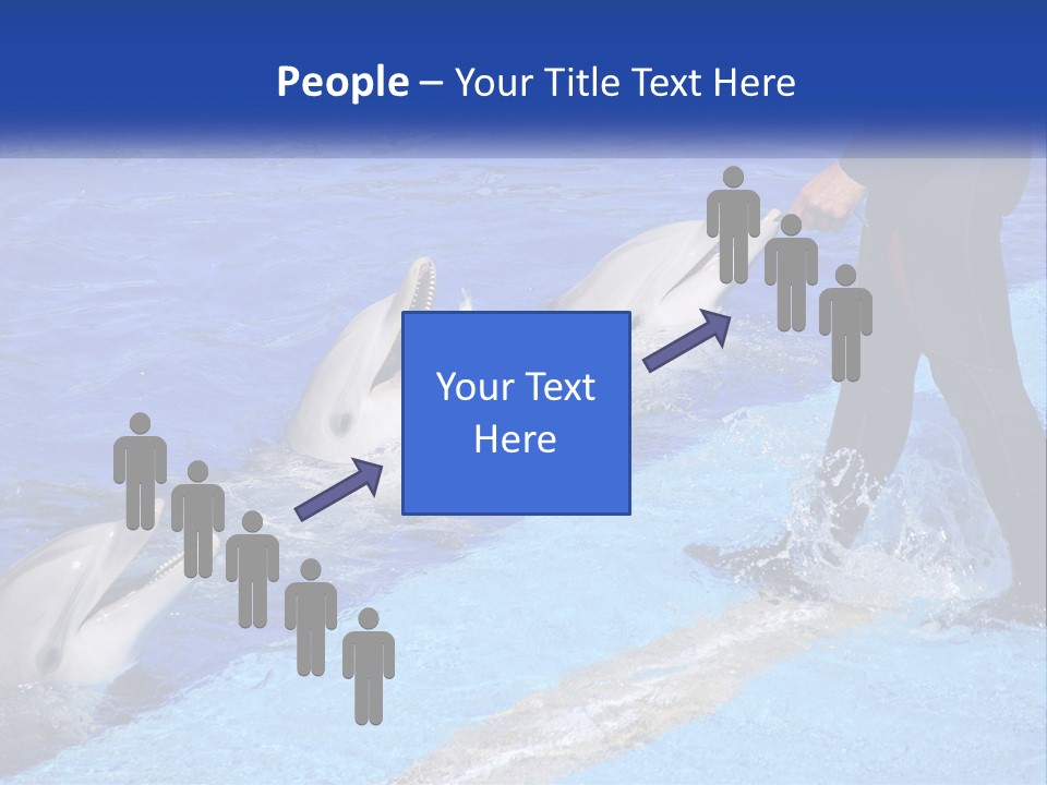 Technology Unit Condition PowerPoint Template