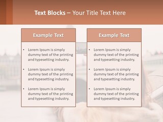 House Air Industry PowerPoint Template