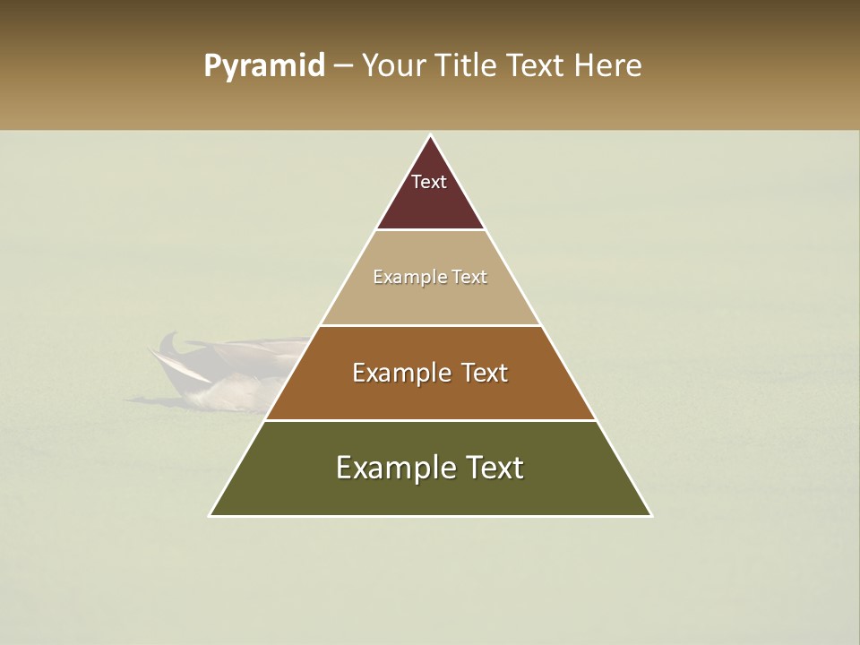 Conditioner Technology Equipment PowerPoint Template