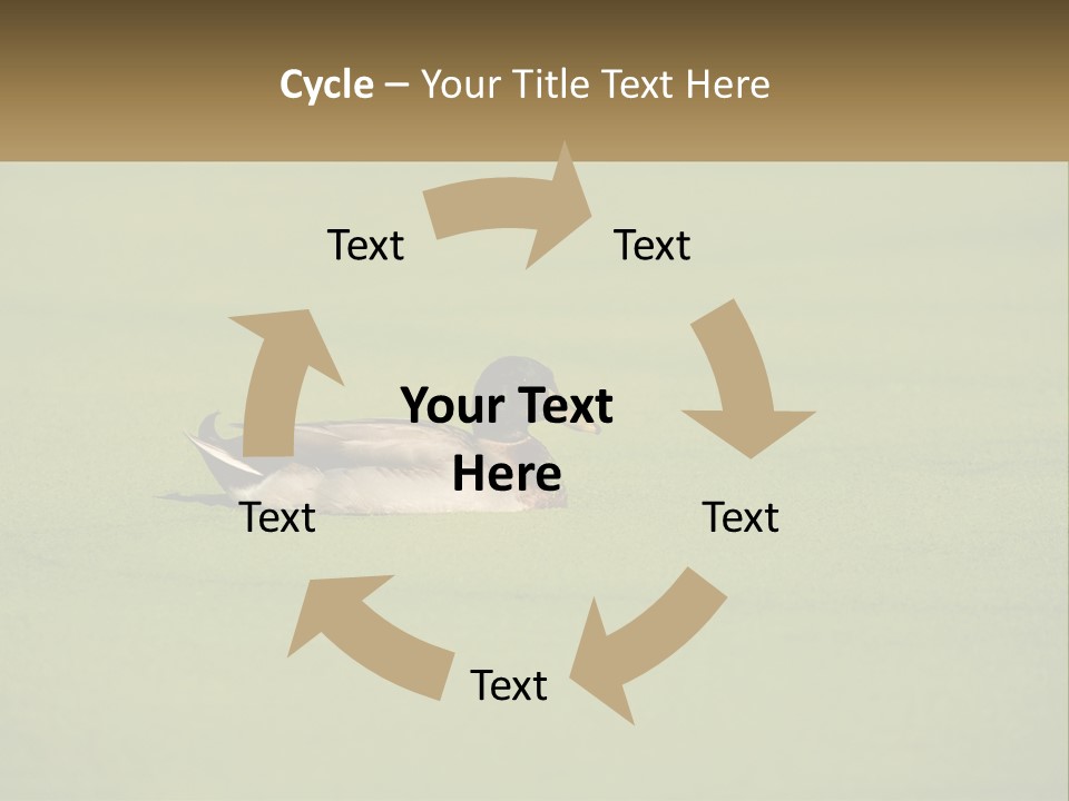 Conditioner Technology Equipment PowerPoint Template