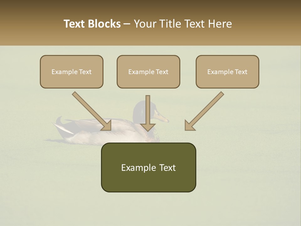 Conditioner Technology Equipment PowerPoint Template