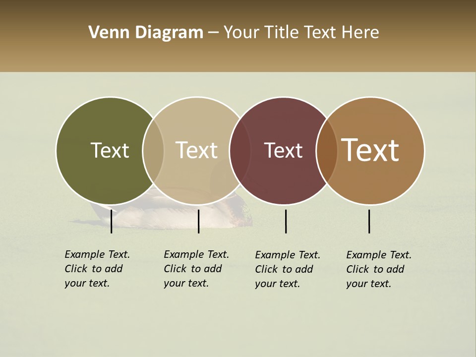 Conditioner Technology Equipment PowerPoint Template