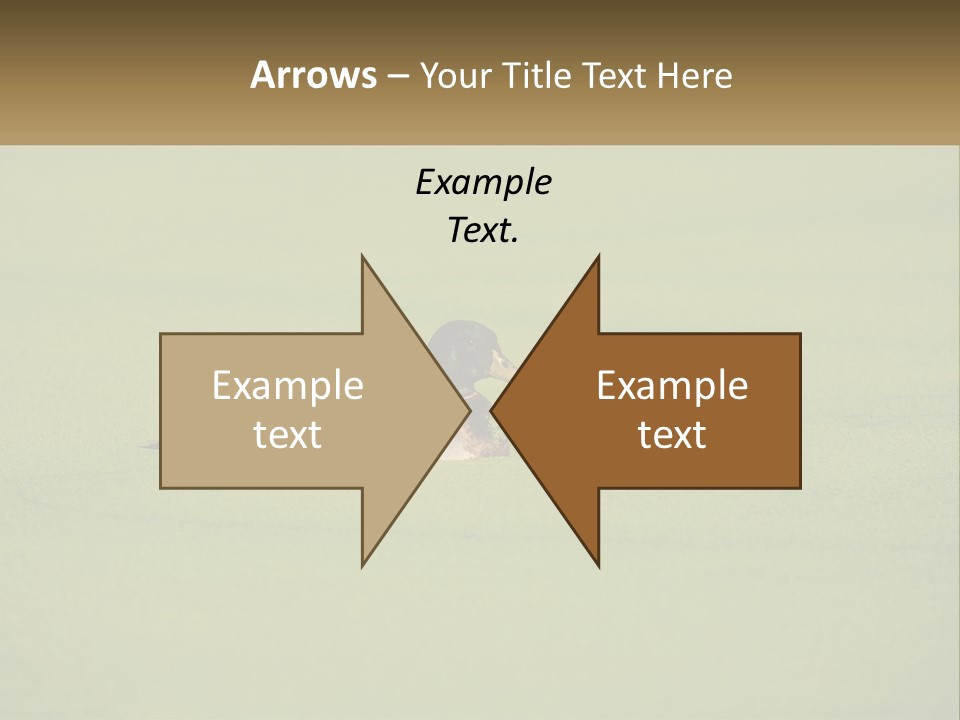 Conditioner Technology Equipment PowerPoint Template