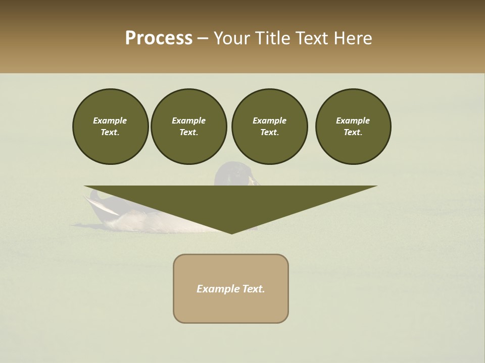 Conditioner Technology Equipment PowerPoint Template