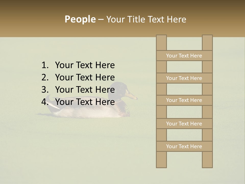 Conditioner Technology Equipment PowerPoint Template