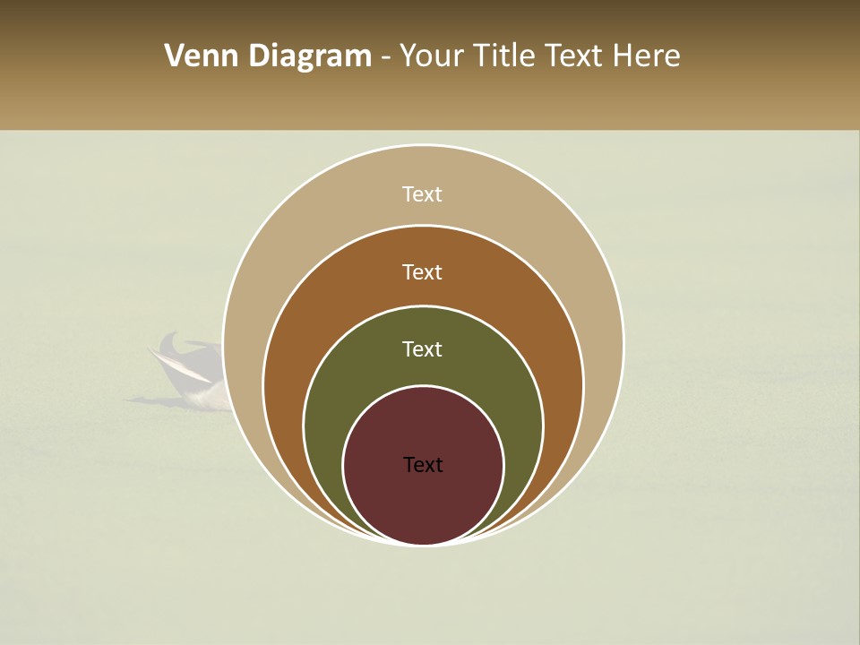 Conditioner Technology Equipment PowerPoint Template