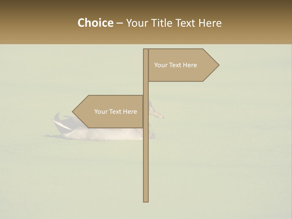 Conditioner Technology Equipment PowerPoint Template
