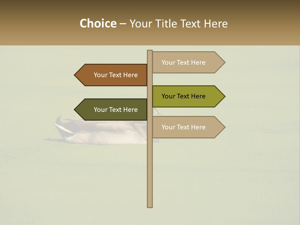 Conditioner Technology Equipment PowerPoint Template