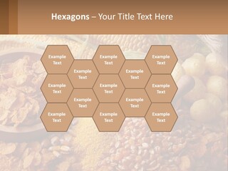 Climate Home House PowerPoint Template