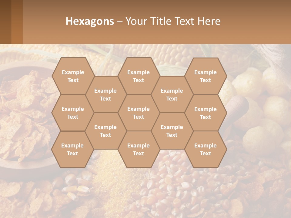 Climate Home House PowerPoint Template