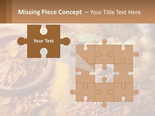 Climate Home House PowerPoint Template