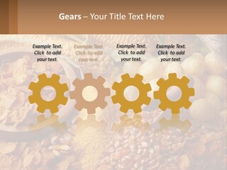 Climate Home House PowerPoint Template