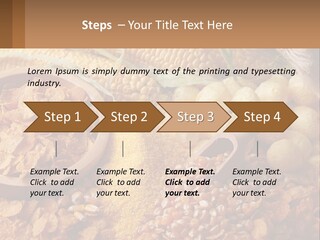Climate Home House PowerPoint Template