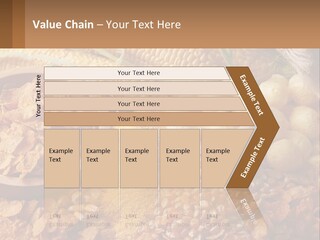 Climate Home House PowerPoint Template