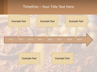 Climate Home House PowerPoint Template