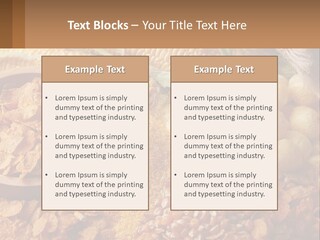 Climate Home House PowerPoint Template