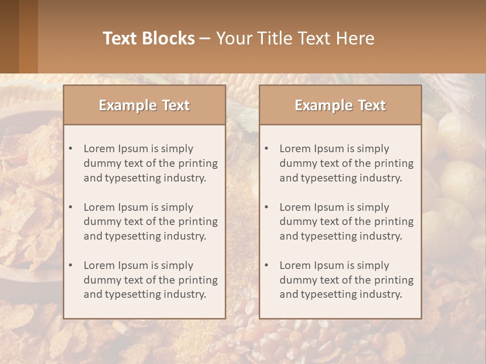 Climate Home House PowerPoint Template