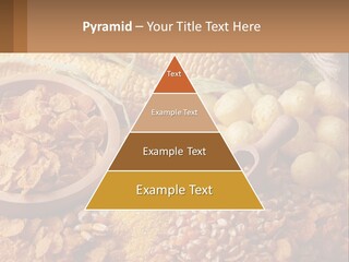Climate Home House PowerPoint Template