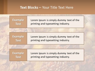 Climate Home House PowerPoint Template