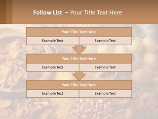 Climate Home House PowerPoint Template