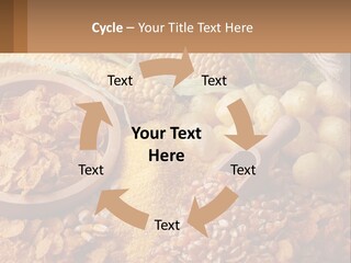 Climate Home House PowerPoint Template