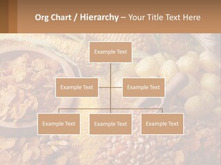 Climate Home House PowerPoint Template