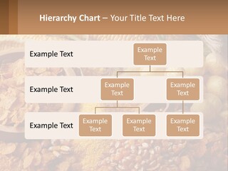 Climate Home House PowerPoint Template